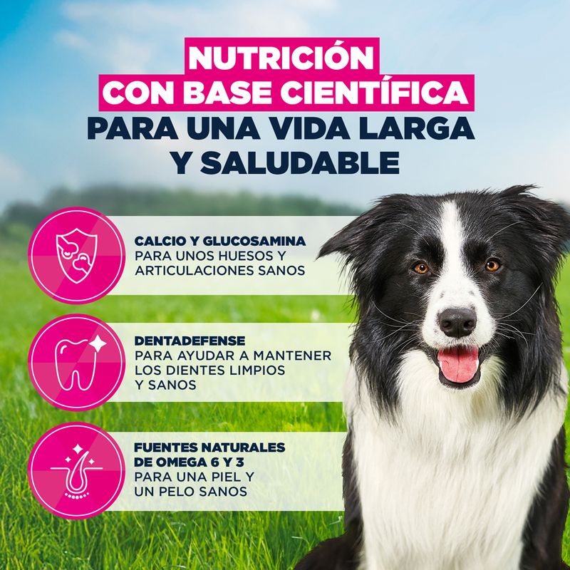 Eukanuba Premium Nutrition Mature Medium Breed pollo