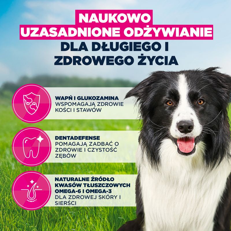 Eukanuba Premium Nutrition Mature Medium Breed, kurczak