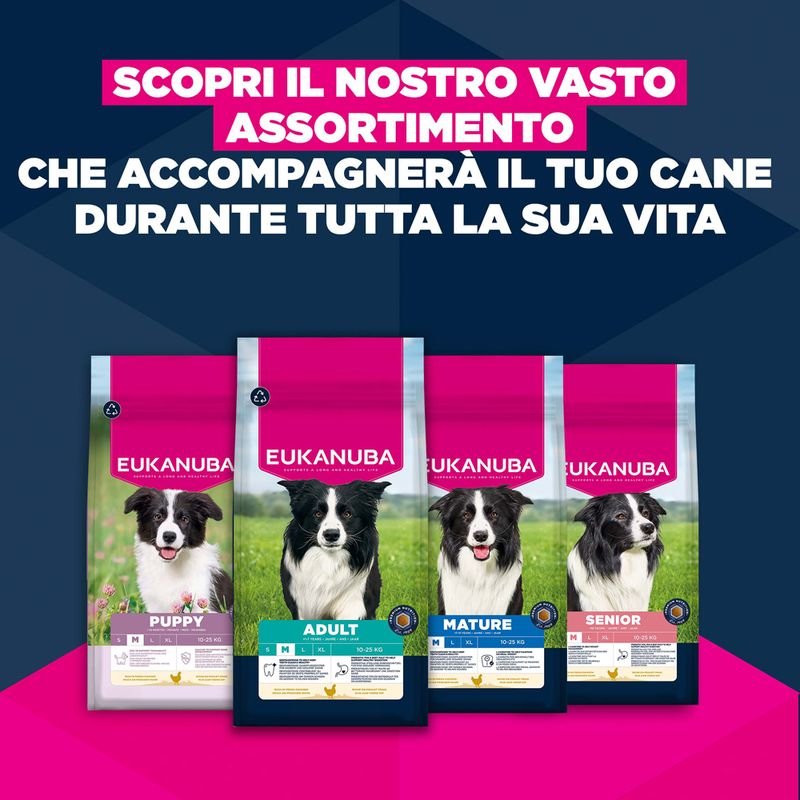 Eukanuba Premium Nutrition Mature Medium Breed Pollo