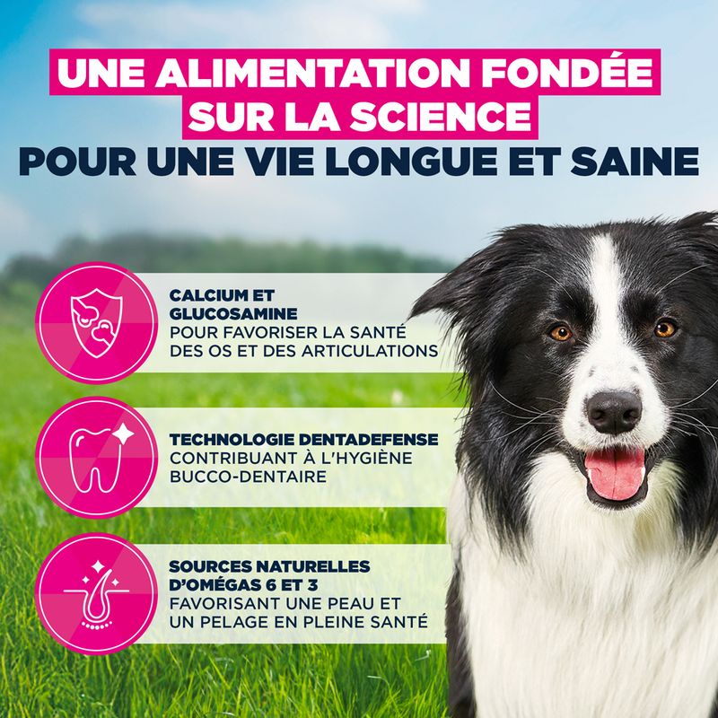 Eukanuba Premium Nutrition Mature Medium Breed au poulet pour chien