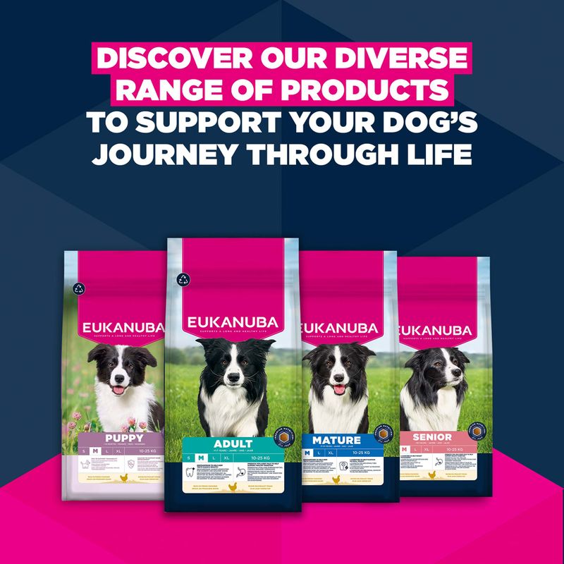 Eukanuba Premium Nutrition Senior Medium Breed csirke