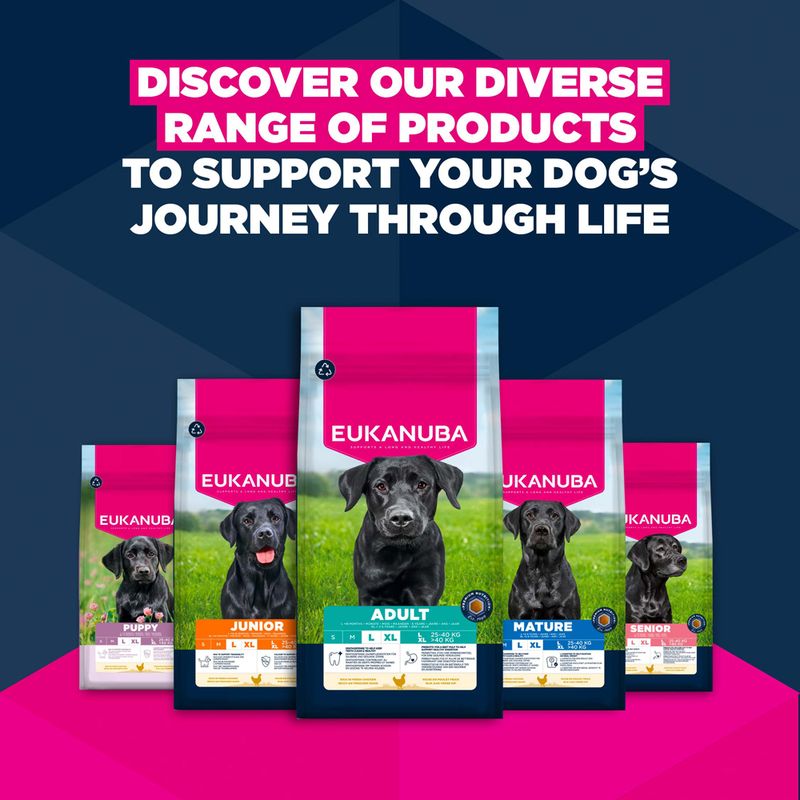 Eukanuba Premium Nutrition Senior Large & Giant Breed Kylling