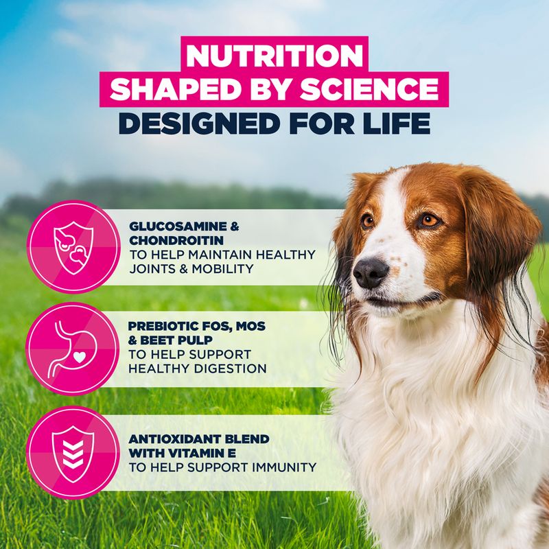 Eukanuba Premium Nutrition Senior Small & Medium Breed Lamb & Rice