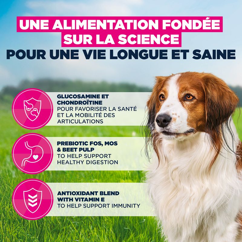 Eukanuba Premium Nutrition Senior Small et Medium Breed Agneau et Riz pour chien
