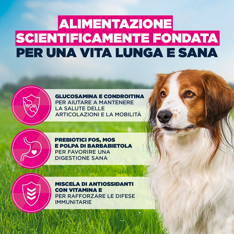 Eukanuba Premium Nutrition Senior Small & Medium Breed Agnello & Riso
