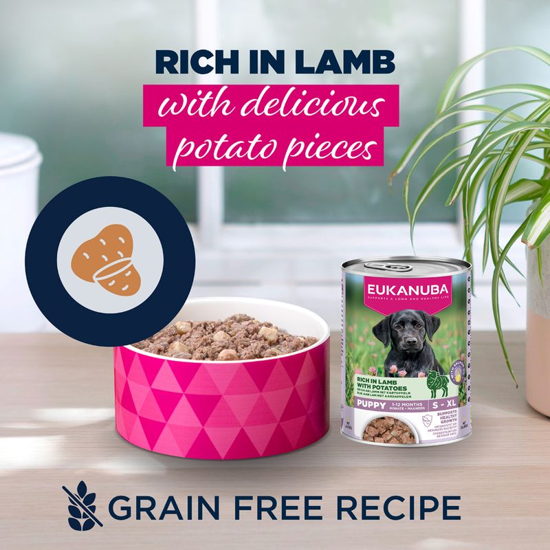 Eukanuba Puppy Rich in Lamb with Potatoes