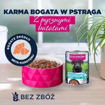 Eukanuba Adult, pstrąg z batatami
