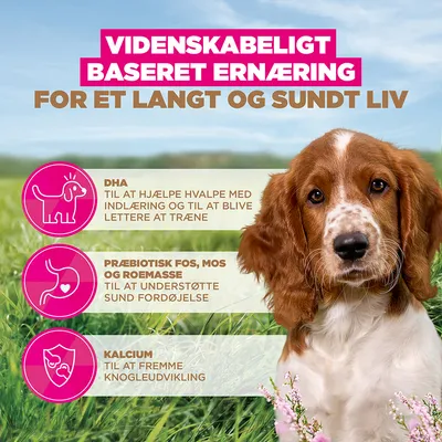 Eukanuba Grain Free Puppy Small & Medium Breed Havfisk