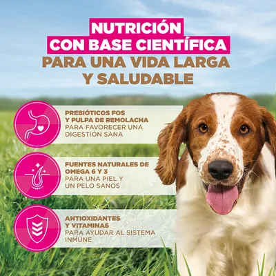 Eukanuba Grain Free Adult Small & Medium con pescado de mar