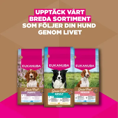 Eukanuba Grain Free Adult Small & Medium Chicken