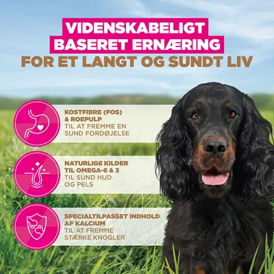 Eukanuba Grain Free Adult Wild