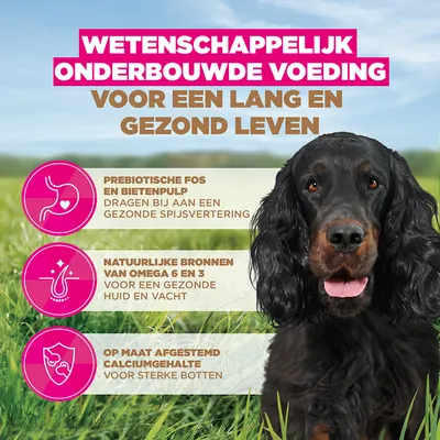 Eukanuba Grain Free Adult Wild