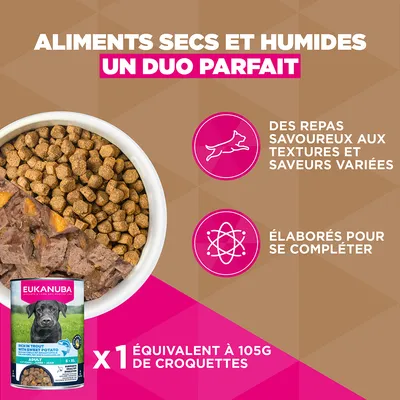 Eukanuba Grain Free Adult Small & Medium Agneau