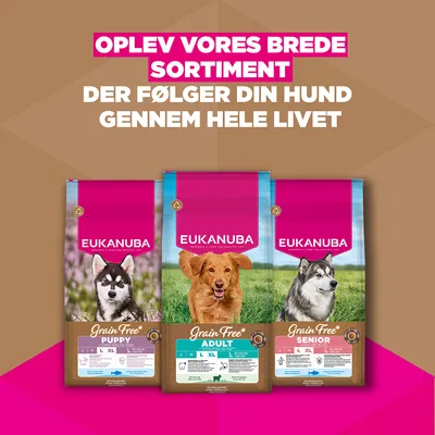 Eukanuba Grain Free Adult Large med lam