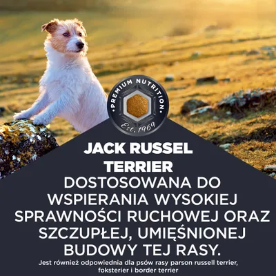Jack Russell Terrier. Odpowiednio dostosowana w celu wspomagania wysokiej ruchliwości oraz szczupłej, umięśnionej sylwetki tej rasy. Odpowiednia także dla Parson Russell Terriera, foksteriera oraz border terriera. Jack Russell Terrier. Odpowiednio dostosowana w celu wspomagania wysokiej ruchliwości oraz szczupłej, umięśnionej sylwetki tej rasy. Odpowiednia także dla Parson Russell Terriera, foksteriera oraz border terriera.