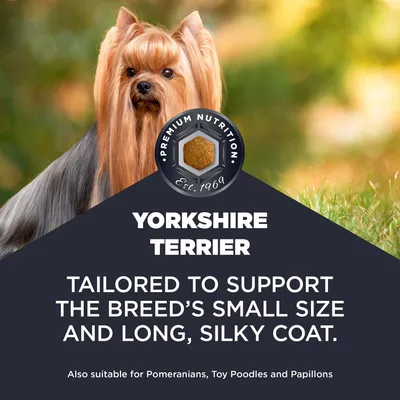 YORKSHIRE TERRIER. Vyvinuté na podporu malej veľkosti a dlhého, hodvábneho kožucha tohto plemena. Vhodné aj pre pomeranianov, toy pudlov a papillonov.