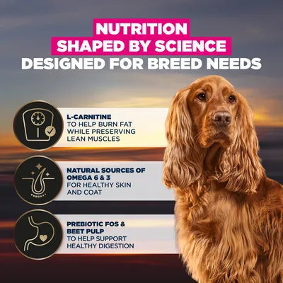 NUTRITION SHAPED BY SCIENCE. DESIGNED FOR BREED NEEDS. L-carnitine for fat burning, Omega 6 & 3 for skin and coat, prebiotic FOS & beet pulp for digestion. NUTRITION SHAPED BY SCIENCE. DESIGNED FOR BREED NEEDS. L-carnitine for fat burning, Omega 6 & 3 for skin and coat, prebiotic FOS & beet pulp for digestion.