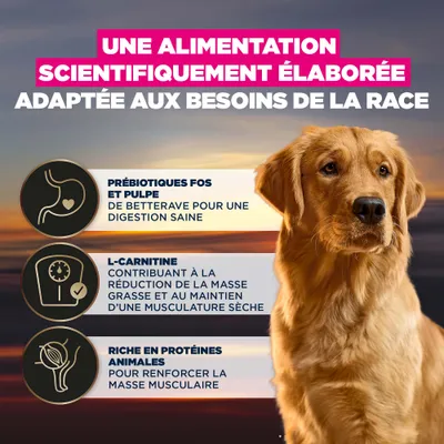 Alimentation développée scientifiquement avec des prébiotiques FOS et de la pulpe de betterave pour une digestion saine, de la L-Carnitine pour réduire la graisse et des protéines animales pour renforcer les muscles. Alimentation développée scientifiquement avec des prébiotiques FOS et de la pulpe de betterave pour une digestion saine, de la L-Carnitine pour réduire la graisse et des protéines animales pour renforcer les muscles.