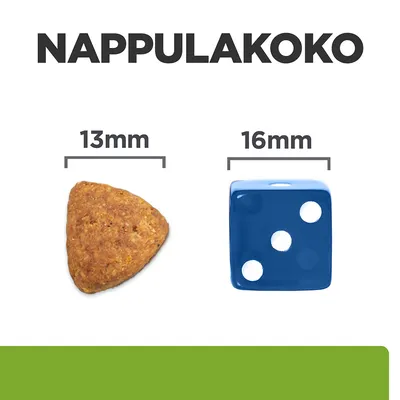 NAPPULAKOKO: nappula 13 mm, vertailun vuoksi sininen noppa 16 mm. Molempien mitat näkyvät selvästi kuvan yläpuolella.