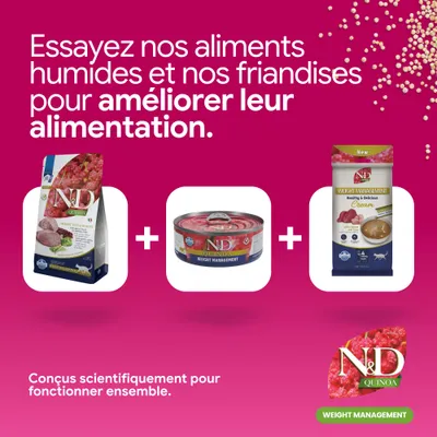 N&D Quinoa Weight Management croquettes, nourriture humide et crème. Développé pour améliorer la nutrition. Conçu scientifiquement pour une fonction optimale.