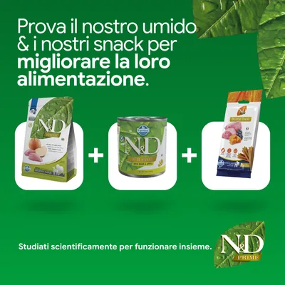 N&D Prime crocchette, alimento umido e Dental Treat. Sviluppato scientificamente per una nutrizione migliorata.
