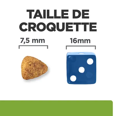 Taille de croquette : croquette triangulaire 7,5 mm à côté d’un dé bleu 16 mm pour comparaison visuelle des dimensions.