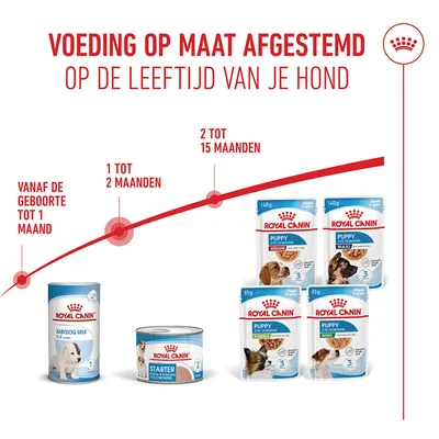 Royal Canin Starter Mousse Mother & Babydog Hondenvoer