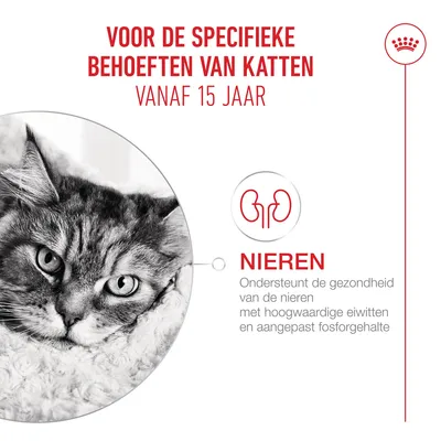 Voor de specifieke behoeften van katten vanaf 15 jaar. Nieren: Ondersteunt de niergezondheid met hoogwaardige eiwitten en een aangepast fosforgehalte.