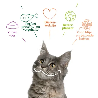 Tekst: Zuiver voer, Perfect proteïne- en vetgehalte, Dierenwelzijn, Betere planeet, Voor blije en gezonde katten. Afbeeldingen: kat, vlees, hart, aarde, bol wol.