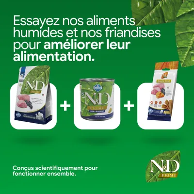 N&D Prime croquettes, aliment humide et friandises dentaires à l’agneau et à la myrtille. Développé scientifiquement pour une nutrition optimale. N&D Prime croquettes, aliment humide et friandises dentaires à l’agneau et à la myrtille. Développé scientifiquement pour une nutrition optimale.