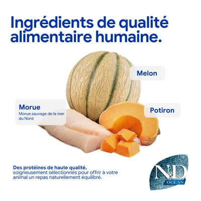 Ingrédients : melon, morue (morue sauvage de la mer du Nord), potiron. Protéines de haute qualité pour une alimentation équilibrée pour animaux. Marque : N&D Ocean. Ingrédients : melon, morue (morue sauvage de la mer du Nord), potiron. Protéines de haute qualité pour une alimentation équilibrée pour animaux. Marque : N&D Ocean.