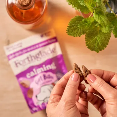 Hands breaking a calming treat in half with Forthglade calming soft bites packaging visible in the background.