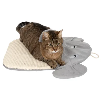 Braune Katze liegt auf einer grauen Spielmatte in Elefantenform mit strukturierter Oberfläche.
