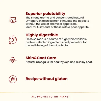 Almo Nature HFC Our Best Highly Appetizing lazac