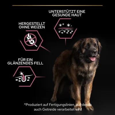 Unterstützt eine gesunde Haut, hergestellt ohne Weizen, für ein glänzendes Fell. Produziert auf Fertigungslinien, auf denen auch Getreide verarbeitet wird.