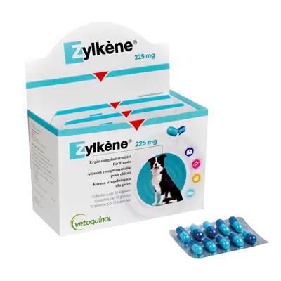 Zylkène 225 mg, karma uzupełniająca dla psów, opakowanie z psem na etykiecie, blister z 10 niebieskimi kapsułkami, Vetoquinol. Widoczny tekst w kilku językach.