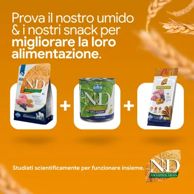 N&D Ancestral Grain crocchette, N&D Prime alimento umido agnello & mirtillo e N&D dental treat. Sviluppato scientificamente per una migliore alimentazione.