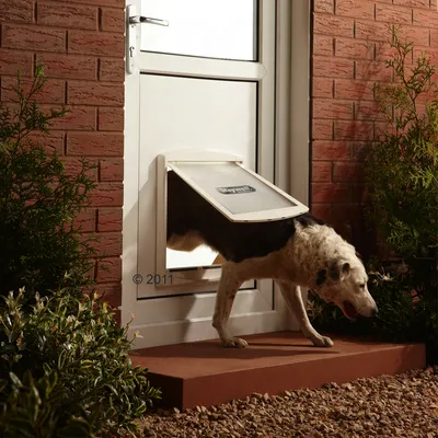 A dog using a pet door flap installed in a white exterior door, demonstrating how the product allows pets to move between indoors and outdoors.