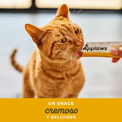 Applaws Delicia Cremosa 8 x 15 g
