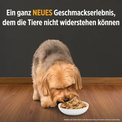 Ein ganz NEUES Geschmackserlebnis, dem die Tiere nicht widerstehen können (teksti saksaksi). Pieni koira syö kuivaruokaa valkoisesta kupista.