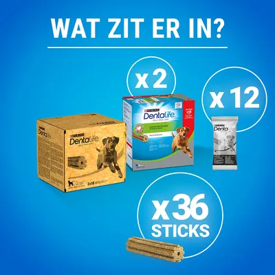 Afbeelding met Purina Dentalife verpakkingen: 2 dozen, 12 zakjes en 36 sticks. Tekst: 'Wat zit er in?' op blauwe achtergrond.