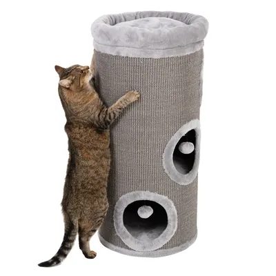 Cat using a tall, cylindrical scratching post with two circular openings and hanging plush balls inside for play.
