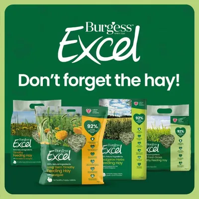 Burgess Excel Hay Selection with the inscription: 'Don't forget the hay!' and the statement '92% of a rabbit's diet should consist of hay'. Burgess Excel Hay Selection with the inscription: 'Don't forget the hay!' and the statement '92% of a rabbit's diet should consist of hay'.