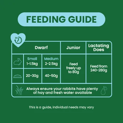 Feeding table for rabbits: Dwarf rabbit 1–1.5 kg, 20–30g; 2–2.5 kg, 40–50g; Junior up to 80g; lactating does 240–280g. Always provide hay and fresh water.
