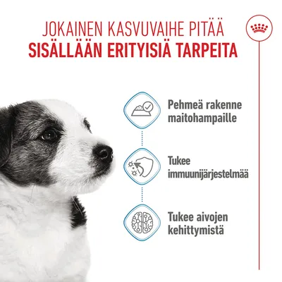 Grafiikka, jossa on kolme kohtaa: pehmeä rakenne maitohampaille, tukee immuunijärjestelmää, tukee aivojen kehitystä. Teksti suomeksi.