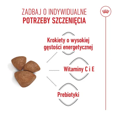 Krokiety o wysokiej gęstości energetycznej, witaminy C i E oraz prebiotyki. Tekst: Zadbaj o indywidualne potrzeby szczenięcia.