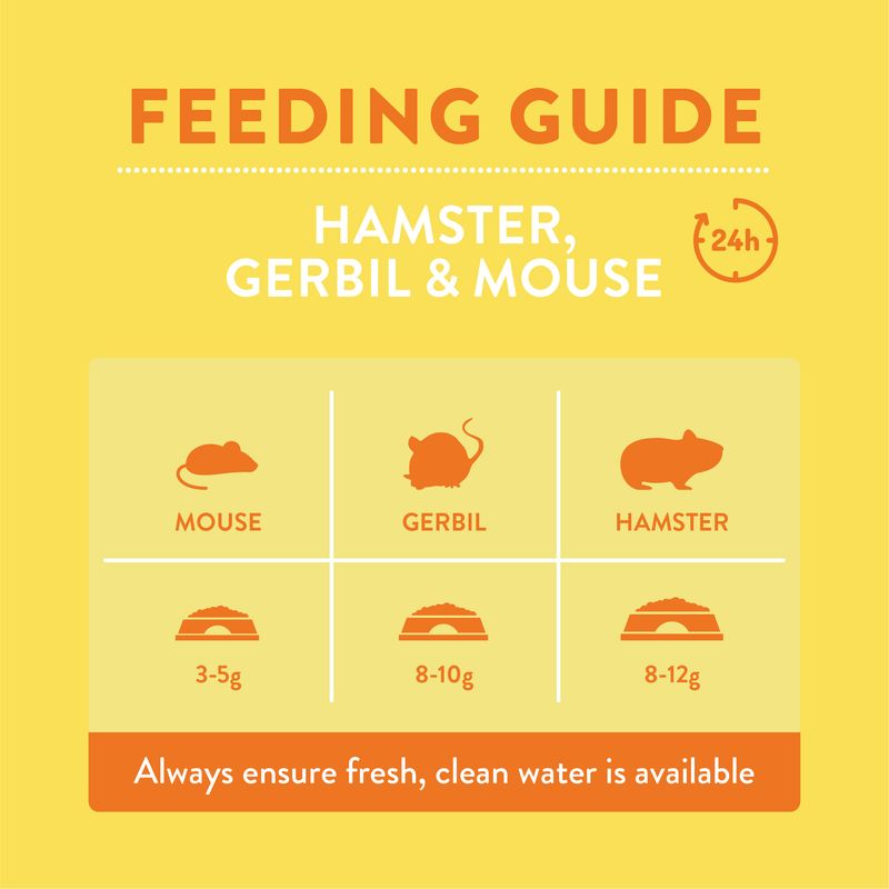 Burgess Excel Hamster, Gerbil & Mouse Nuggets