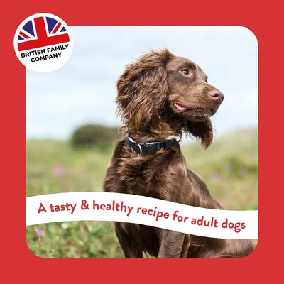 British Family Company. A tasty & healthy recipe for adult dogs. British Family Company. A tasty & healthy recipe for adult dogs.