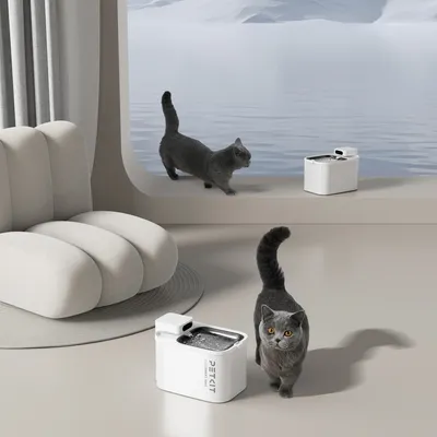 Petkit fontaine à eau Eversweet Max