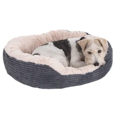 Panier pour chien en tissu gris à rebord haut, intérieur doux beige, avec un chien blanc et noir allongé à l’intérieur. Convient pour observer la taille et le confort du produit.